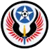 نيروي زميني